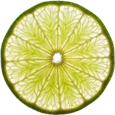 Imagen PNG para descargar